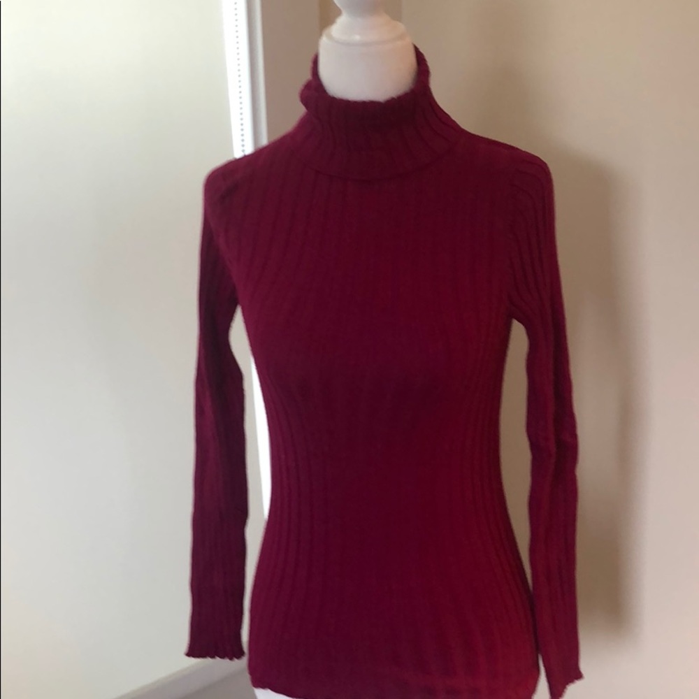 Fuschia stretch turtleneck